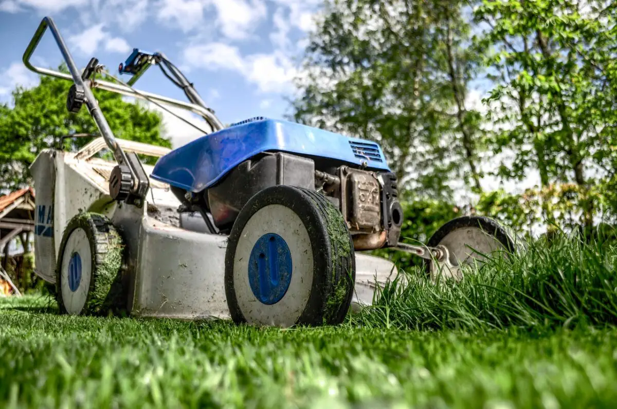 Lawn Mower Brands to Avoid