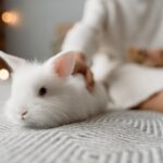 Best Bed For Rabbits [4 Quality Options]