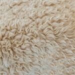 Which Wool Is The Warmest?