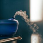 Can Home Fragrance Oils Be Used In Diffusers? [3 Ways]