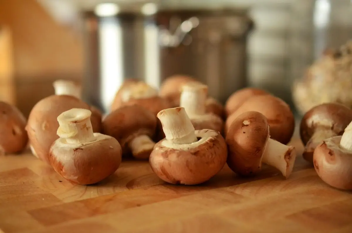 Is Mushroom A Junk Food